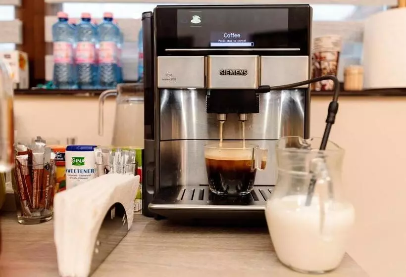 ホテル Pensiunea Select Central