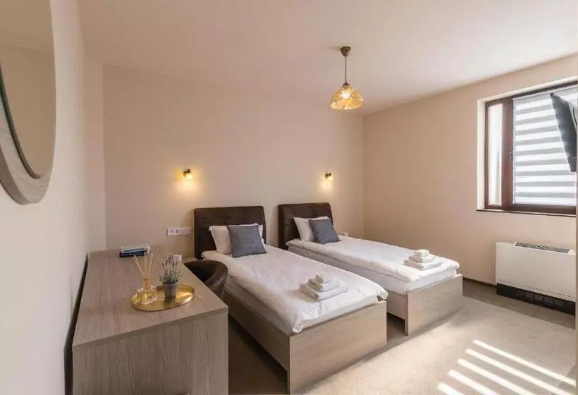 ホテル Pensiunea Select Central