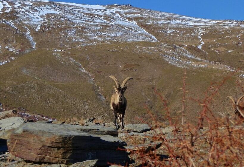 פנסיון Labella Hostal Restaurante