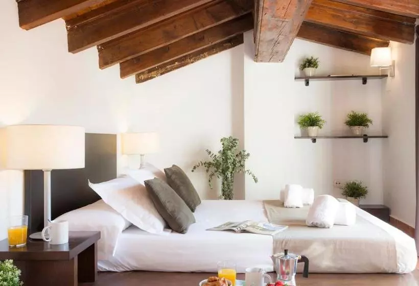 Singularstays Botanico29