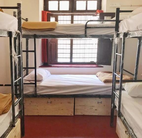 هاستل The Bunkers Ashram