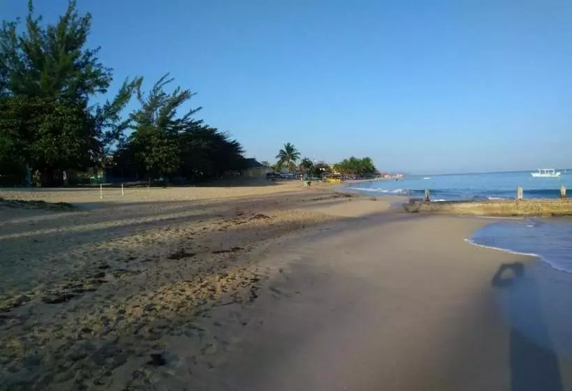 تختخواب و صبحانه Modrians