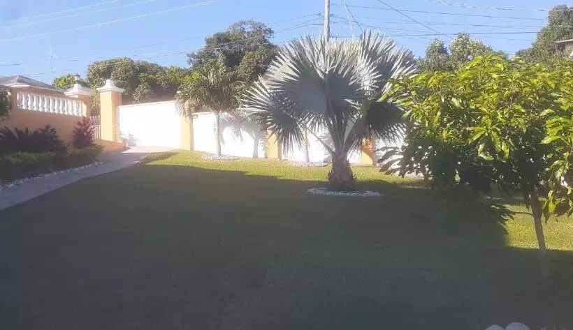 تختخواب و صبحانه Modrians