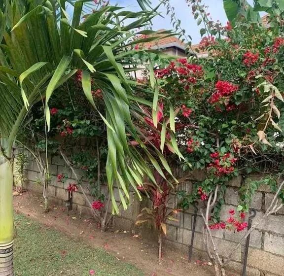 تختخواب و صبحانه Modrians