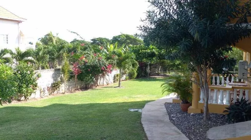 تختخواب و صبحانه Modrians