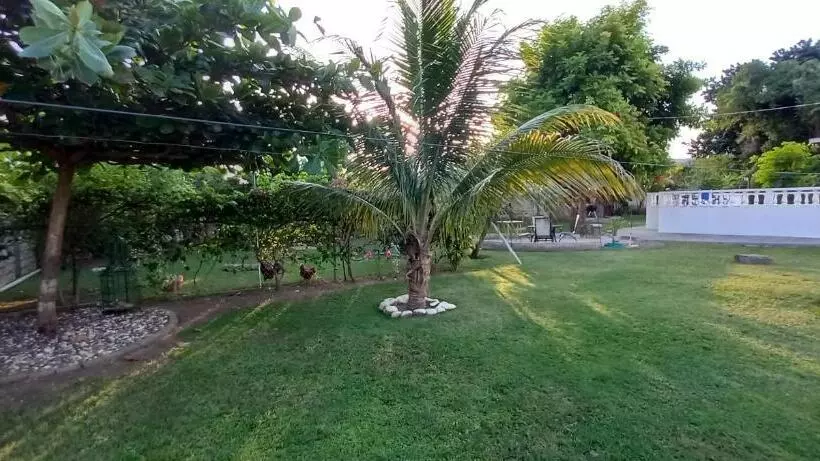 تختخواب و صبحانه Modrians