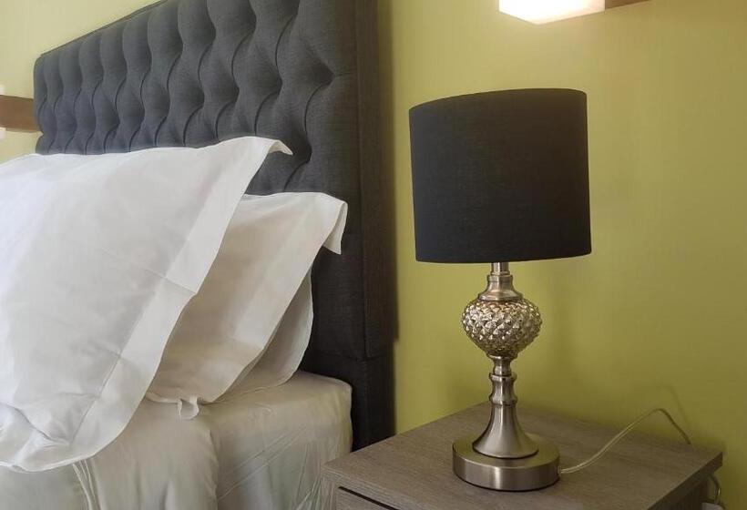 ベッドアンドブレックファースト The Spring Bank Apart