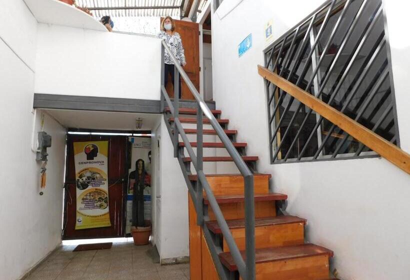 هاستل Hostal Pampaloja