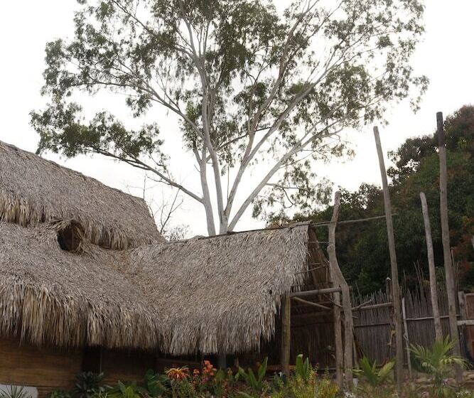 پانسیون Eco Hostel La Esquina Lejana