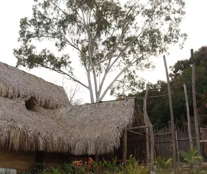 ペンション Eco Hostel La Esquina Lejana