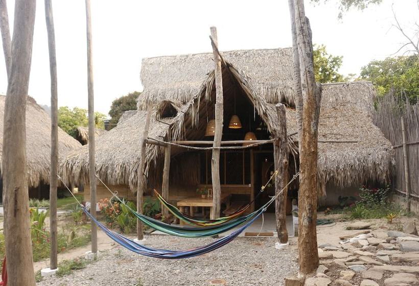 پانسیون Eco Hostel La Esquina Lejana