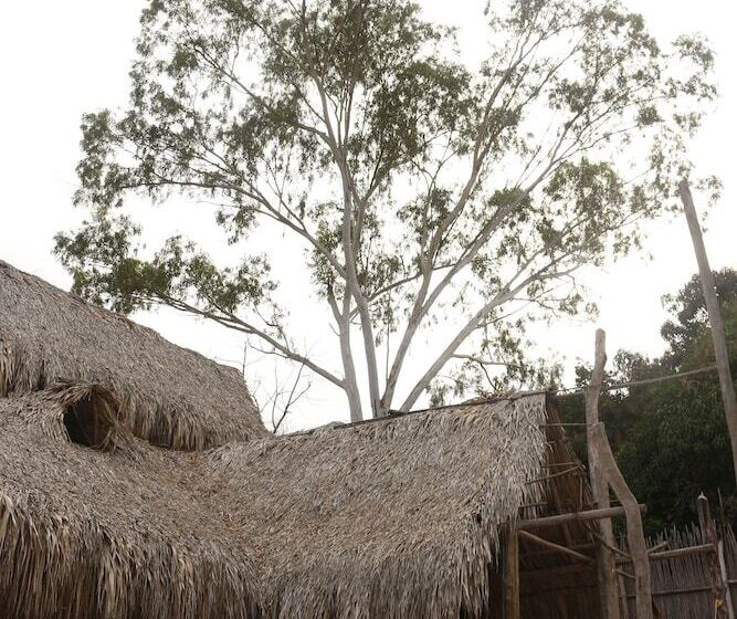 پانسیون Eco Hostel La Esquina Lejana