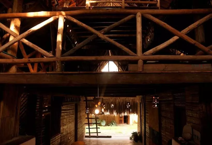 ペンション Eco Hostel La Esquina Lejana