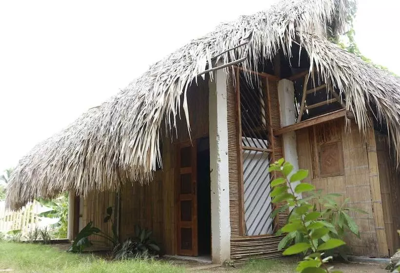 ペンション Eco Hostel La Esquina Lejana