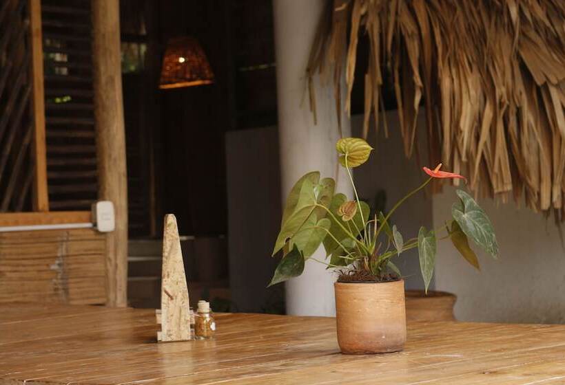 پانسیون Eco Hostel La Esquina Lejana