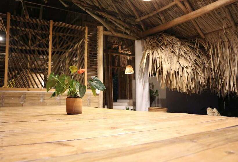 پانسیون Eco Hostel La Esquina Lejana