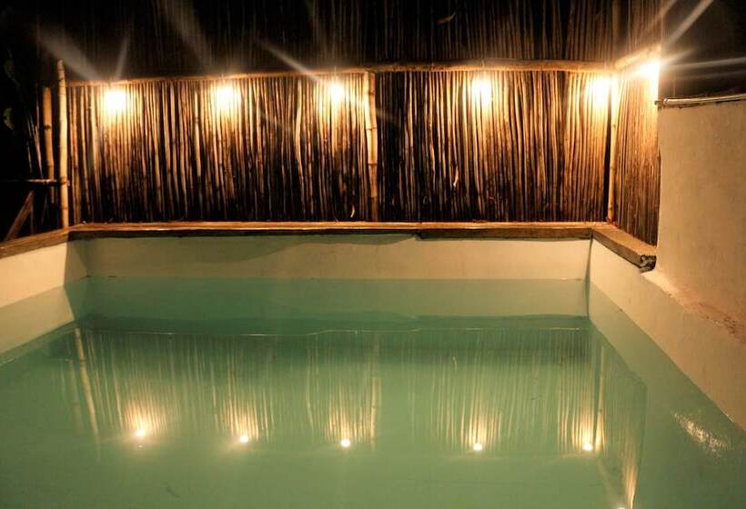 پانسیون Eco Hostel La Esquina Lejana