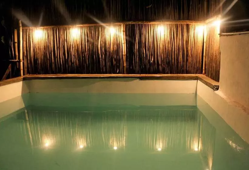ペンション Eco Hostel La Esquina Lejana