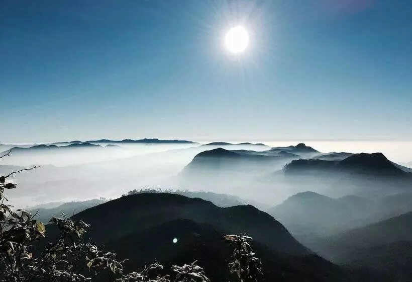 Hotelli Slightly Chilled Yellow House