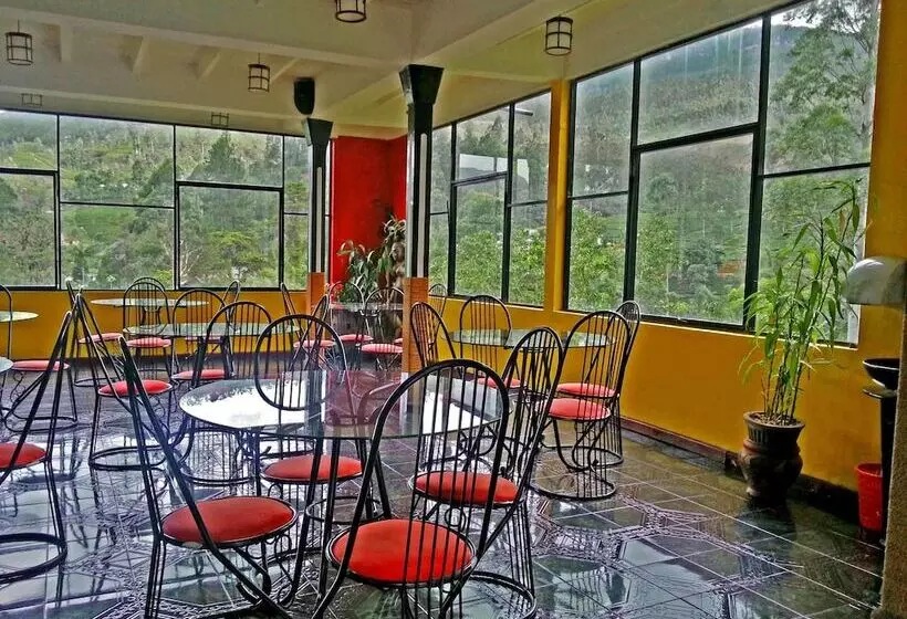 Hotelli Slightly Chilled Yellow House