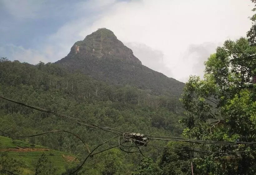 Hotelli Slightly Chilled Yellow House