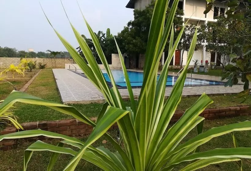 Hotelli Four Points Resort   Anuradhapura