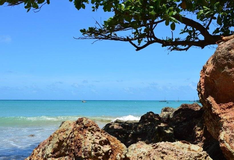 פנסיון Chill Mango