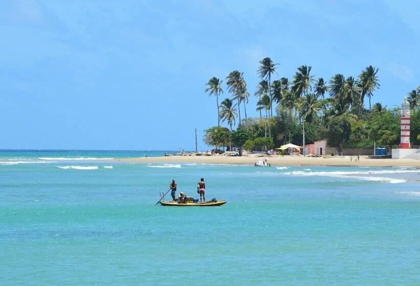 פנסיון Chill Mango