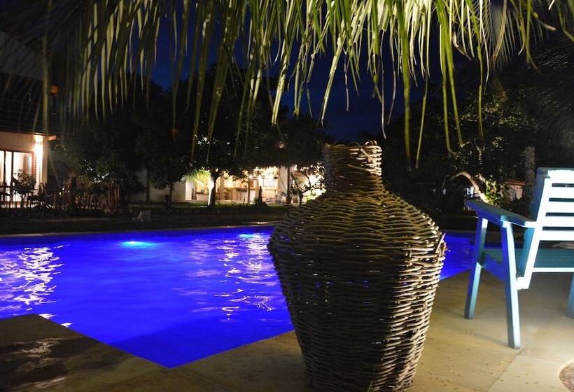 פנסיון Chill Mango