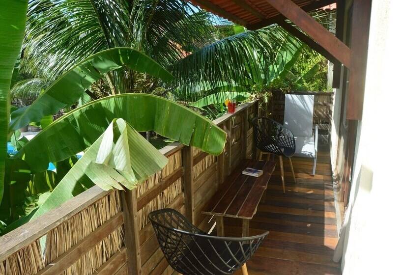 פנסיון Chill Mango