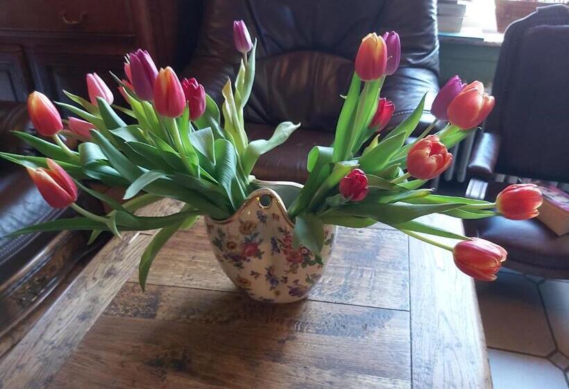 مبيت وإفطار Château Lambert Moulinsart Hotel, Shuttle Airport, Long Term Parking, Snooker, Large Terrasse, Dinne