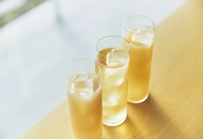 Shonai Hotel Suiden Terrasse