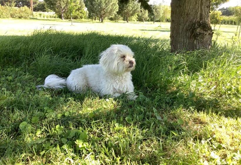 펜션 Le Papillon De Soie