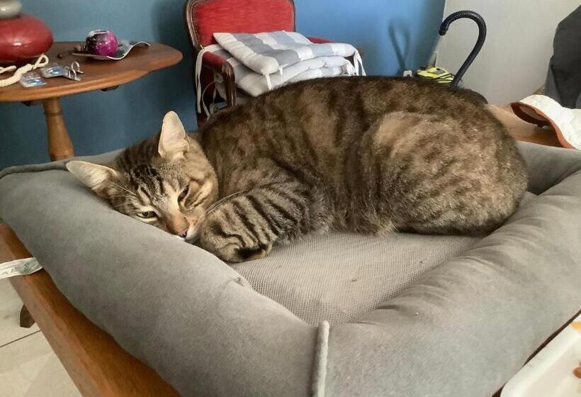 펜션 Le Papillon De Soie