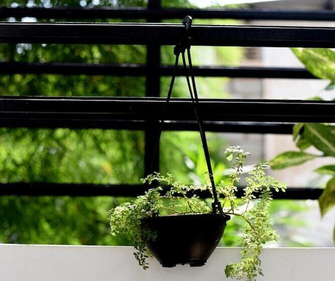 Steps Backpackers Hostel