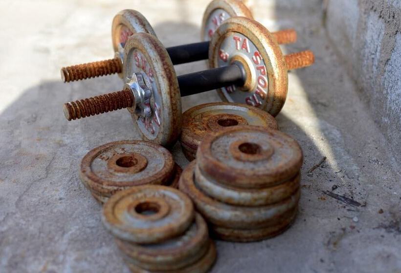 Steps Backpackers Hostel