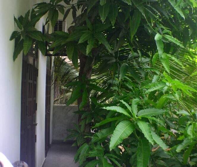 Steps Backpackers Hostel