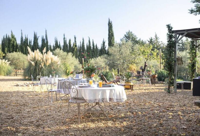 تختخواب و صبحانه Le Mas Des Romarins