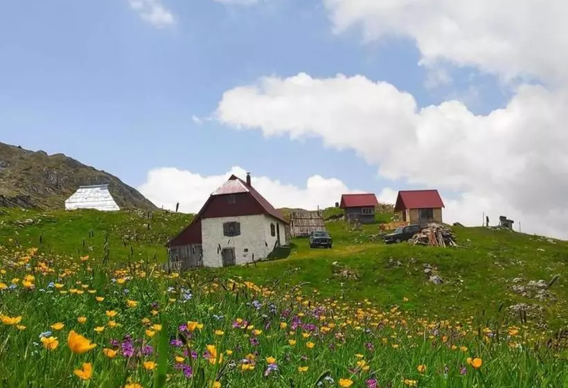 Katun Kuline