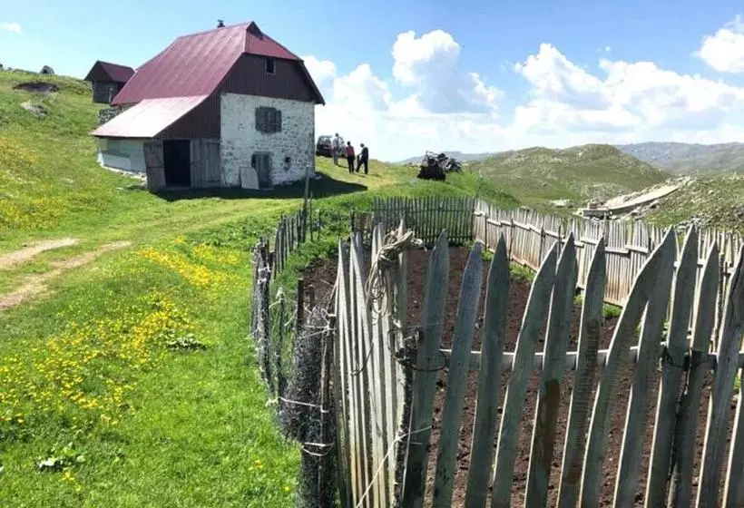 Katun Kuline