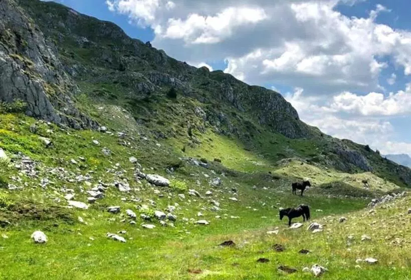 Katun Kuline