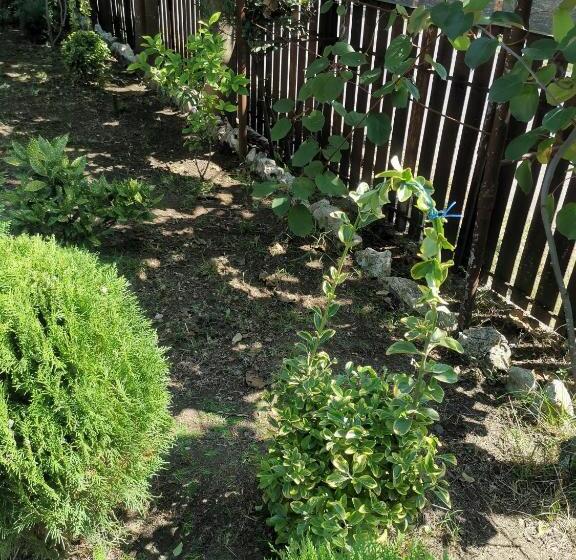 پانسیون Villa Platinum