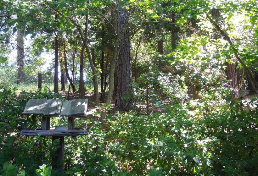 Ponderosa Ridge A B & B