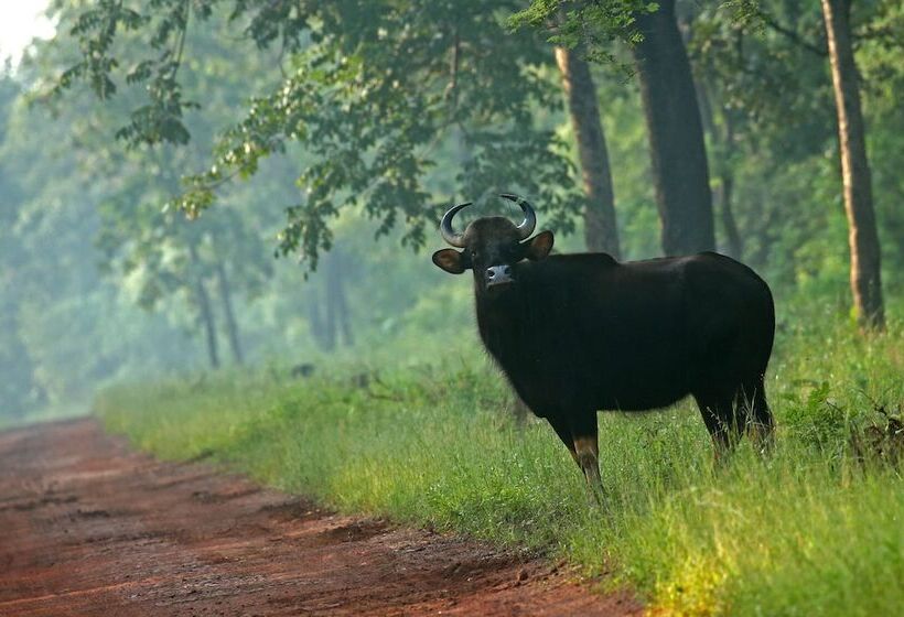 Отель Red Earth Tadoba