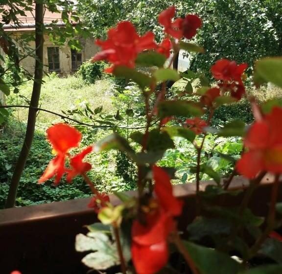 پانسیون Abaguesthouse