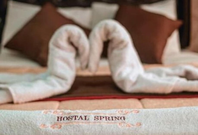 Pension Hostal Spring