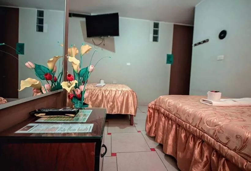 پانسیون Hostal Spring