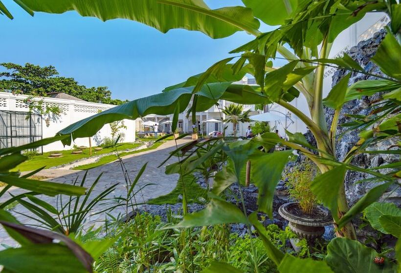 پانسیون Petit Brussel