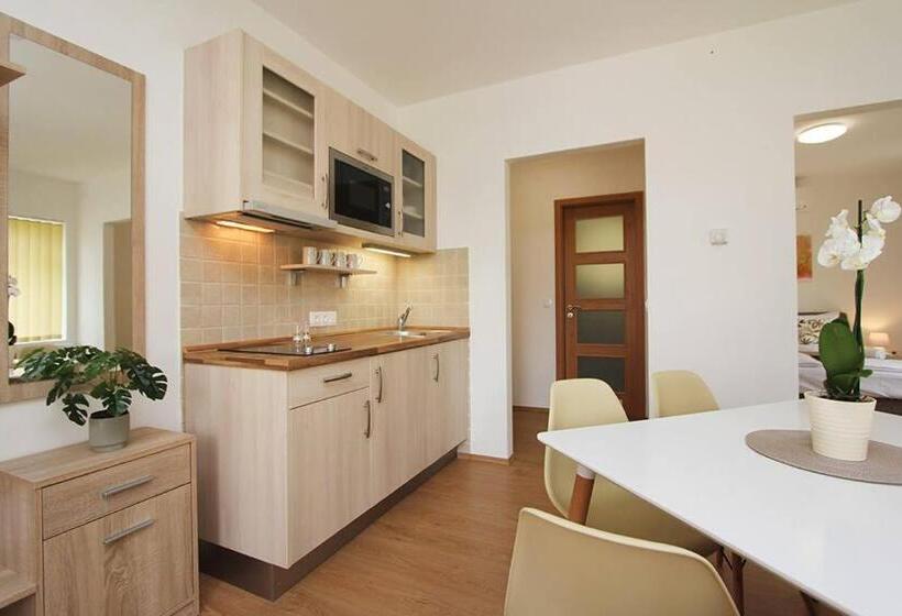 ベッドアンドブレックファースト Boutique Apartments