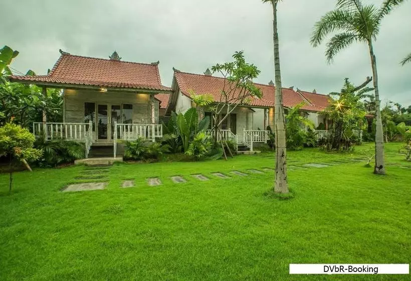 تختخواب و صبحانه Dayung Villas By Reccoma
